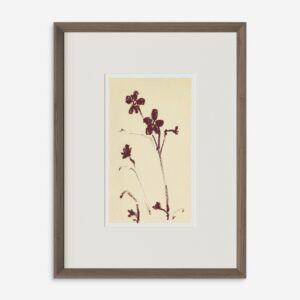 Meadow Rue No. 9 Wall Art by Shaina Page